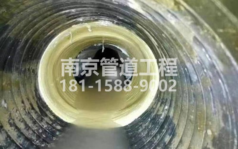 226兰园树脂修复